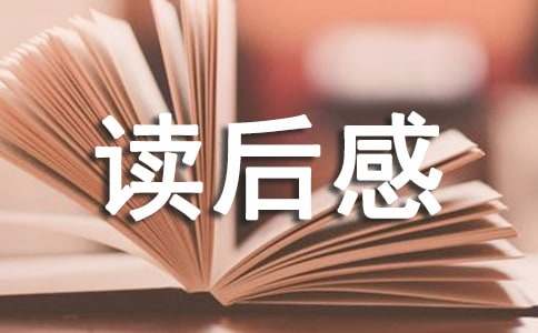 《北京城与年》读后感