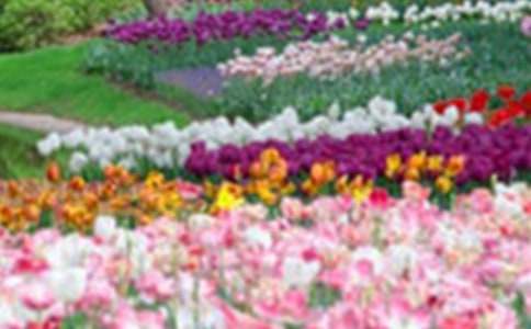 《从百花园到三味书屋》读后感