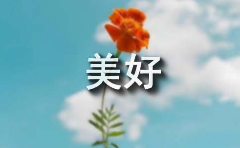 《低到尘埃的美好》读后感